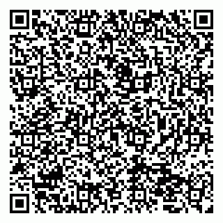 vCard 79050410099