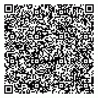 vCard 79050410103