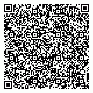 vCard 79050410131