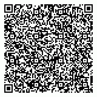 vCard 79050410132