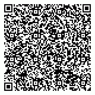vCard 79050410133