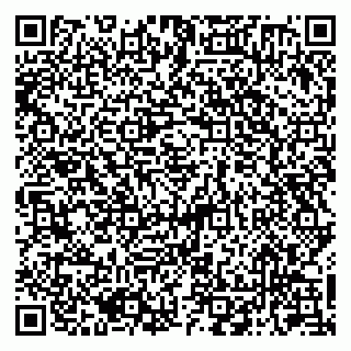 vCard 79050410163