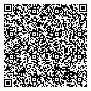vCard 79050410207