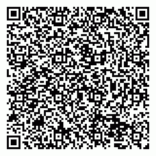 vCard 79050410208