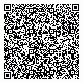 vCard 79050410273