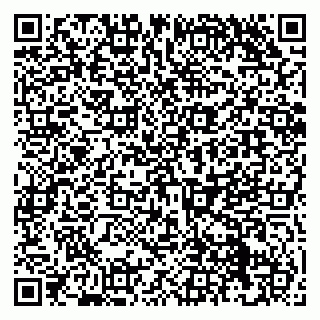 vCard 79050410287