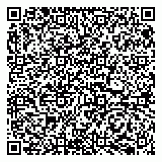 vCard 79050410303