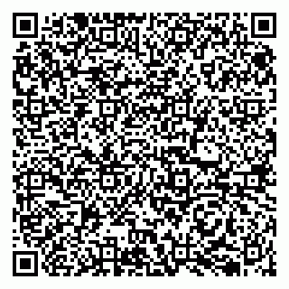 vCard 79050410307
