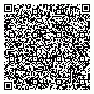 vCard 79050410308