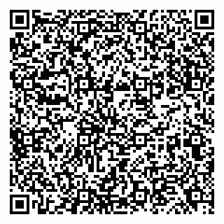 vCard 79050410313