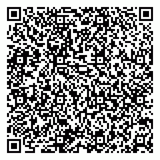 vCard 79050410315