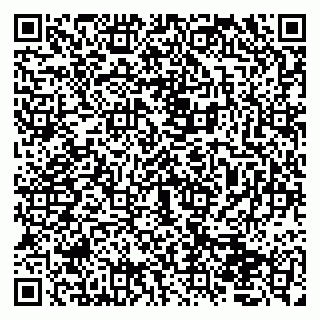 vCard 79050410317