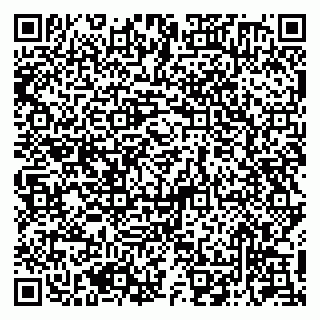 vCard 79050410318