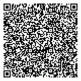 vCard 79050410319