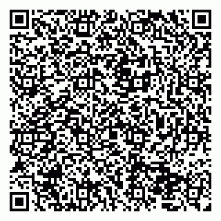 vCard 79050410330