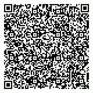 vCard 79050410331