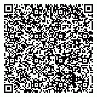 vCard 79050410332