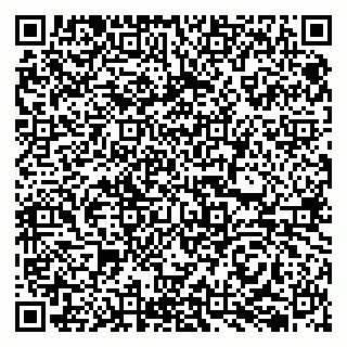 vCard 79050410333