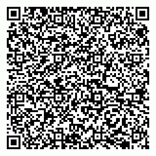 vCard 79050410334