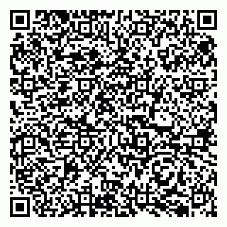 vCard 79050410335