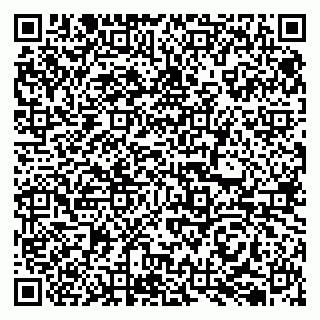 vCard 79050410337