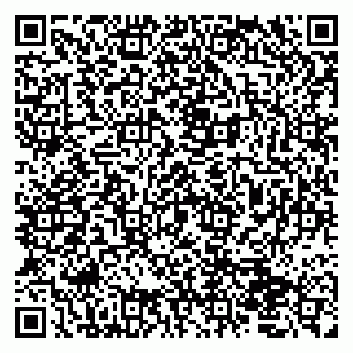 vCard 79050410370