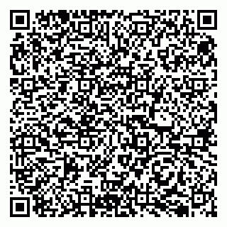 vCard 79050410378