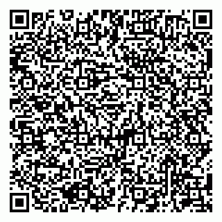vCard 79050410380