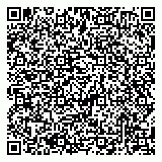 vCard 79050410381