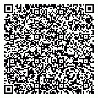 vCard 79050410382