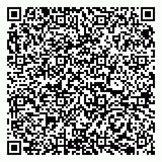 vCard 79050410384