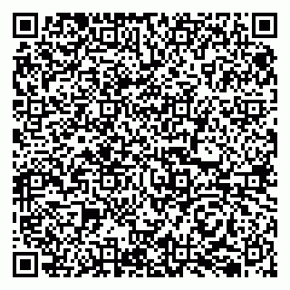 vCard 79050410387