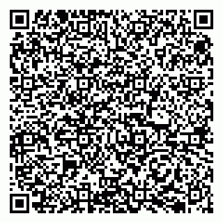vCard 79050410388