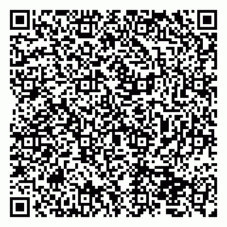 vCard 79050410393