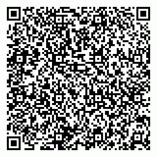 vCard 79050410399