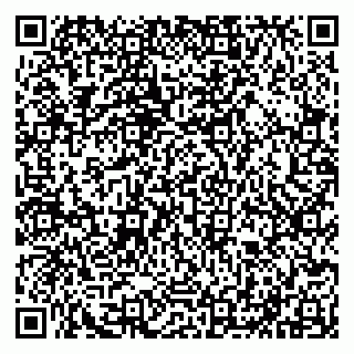 vCard 79050540033