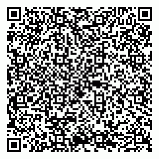 vCard 79050540099