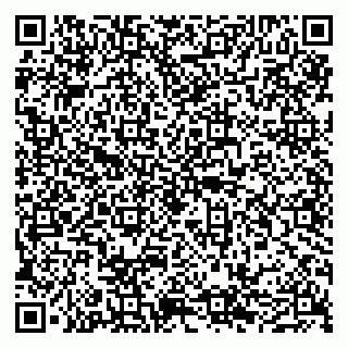 vCard 79050540131