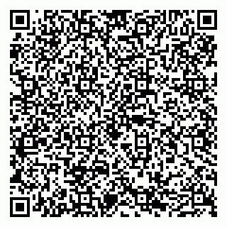 vCard 79050540151