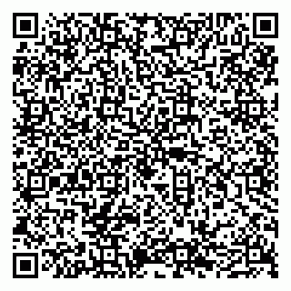 vCard 79050540153