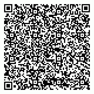 vCard 79050540209