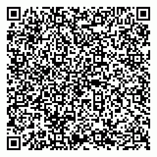 vCard 79050540310