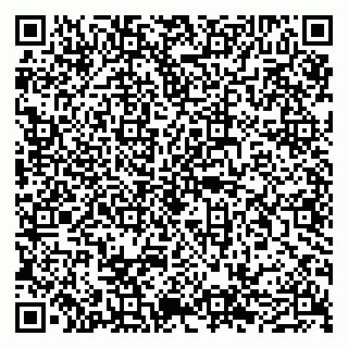 vCard 79050540311