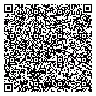 vCard 79050540321