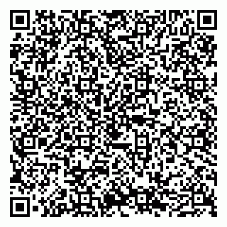 vCard 79050540329