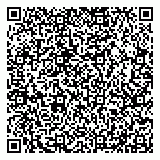 vCard 79050540379