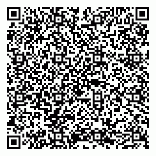 vCard 79050540382