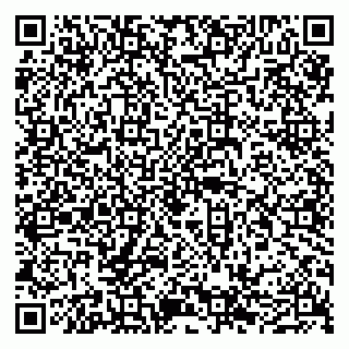 vCard 79050540385