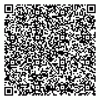 vCard 79050540387