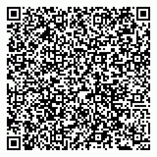 vCard 79050540399
